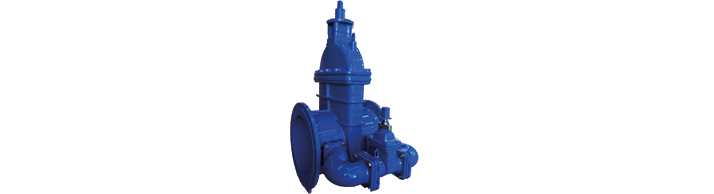 Integral Bypass Gate Valve Integral Bypass Gate Valve